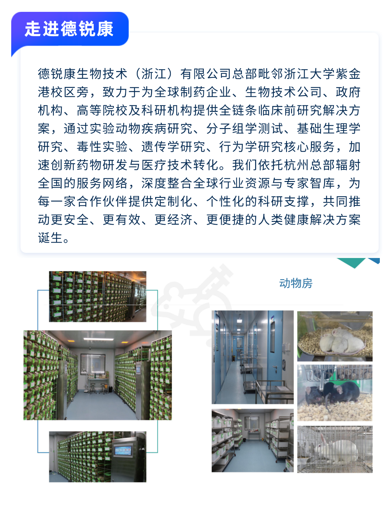 稿定设计-2.png