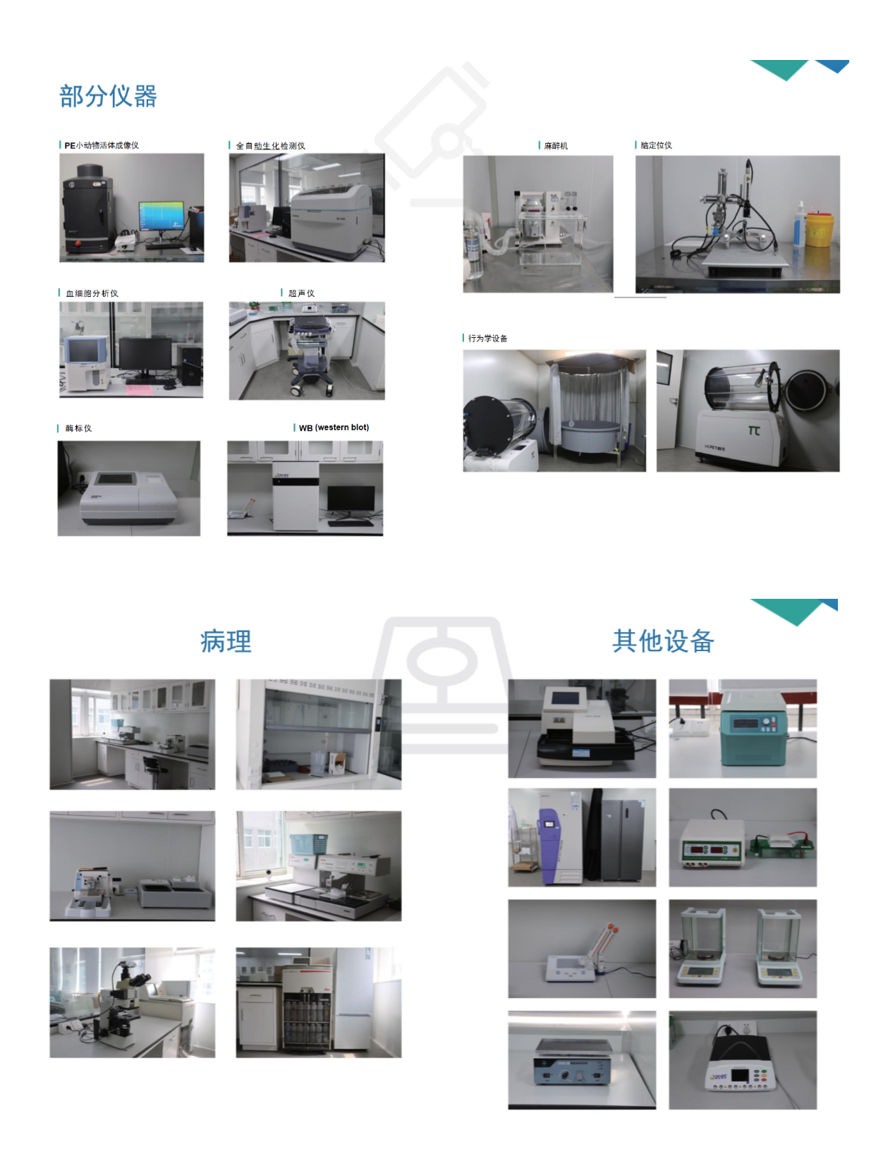 稿定设计-4.png